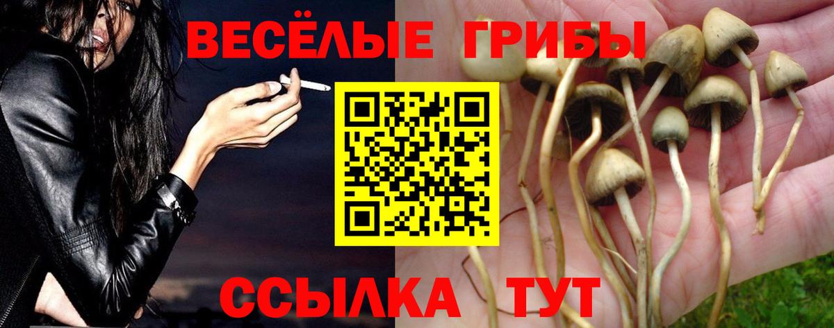 Псилоцибиновые грибы мицелий Вязники