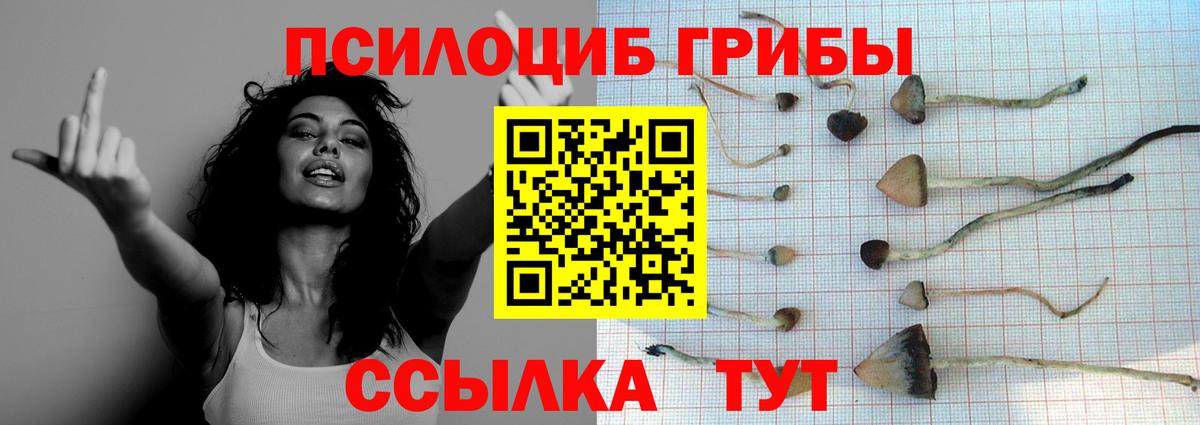 Псилоцибиновые грибы MAGIC MUSHROOMS  Вход с VPN  Вязники 